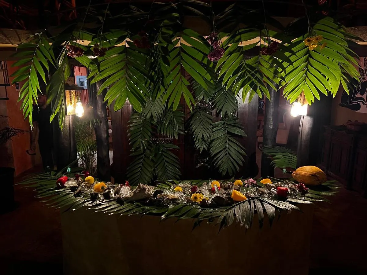 Luhme Tulum Hostel - Free Bike & Free Cenote Access